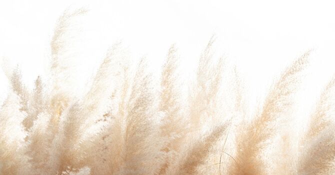 New Client Consultation