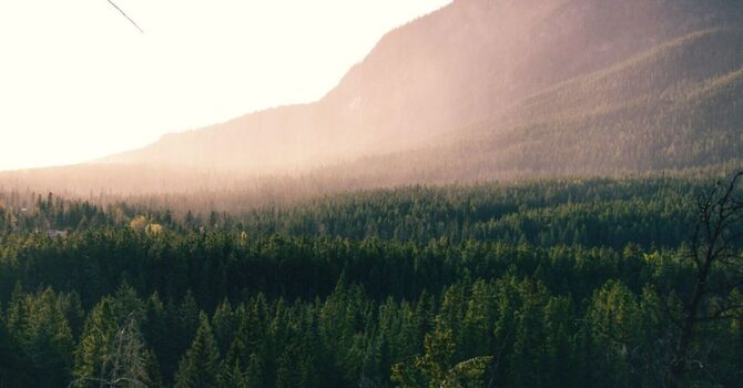 Psychology and Therapy Services