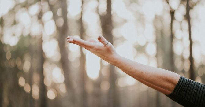 ICBC (Insurance Corporation of British Columbia) Therapy