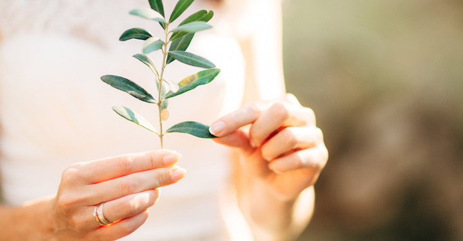 New Client Consultation